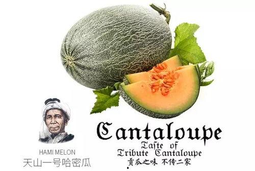 吃瓜群众分享版官网,带你领略网络热点的魅力