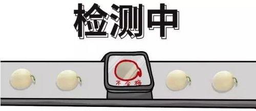 吃瓜群众冲突怎么办,智慧与策略的碰撞