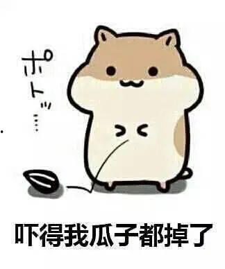 吃瓜群众是传播者吗,网络时代的传播者角色解析