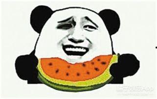 阿星和阿奇的吃瓜群众,吃瓜群众眼中的娱乐圈风云